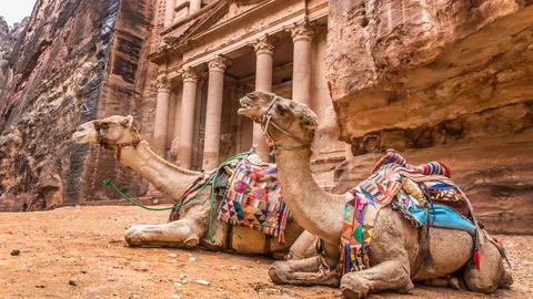 Kamele vor Al Khazneh (Schatzamt) in Petra