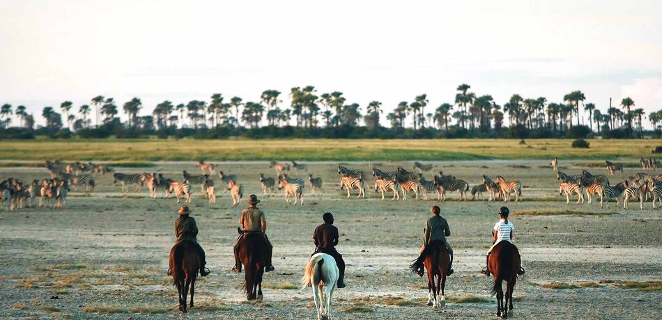 Pferdesafari in Botswana