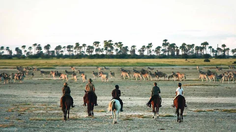 Pferdesafari in Botswana