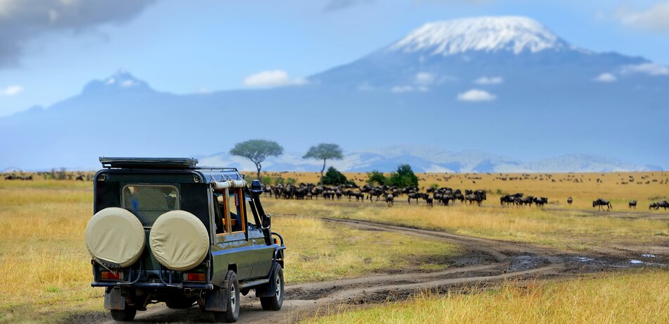 Safari in Masai-Mara