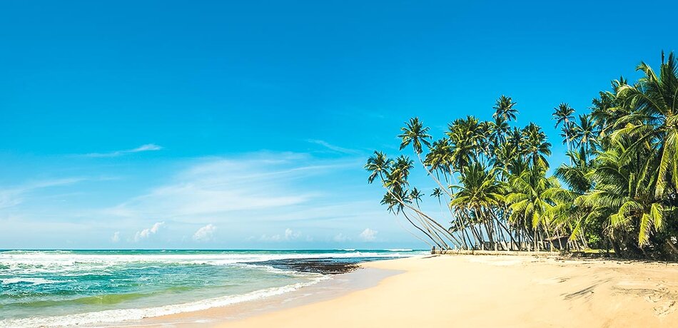 Palmen und Strand in Sri Lanka