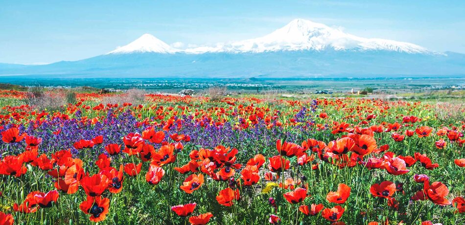 Der Berg Ararat